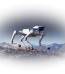Unitree As2 Pro Quadrupedal Robots