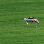 Unitree Go2 EDU – Bionic Quadruped Robot Dog - Image 3